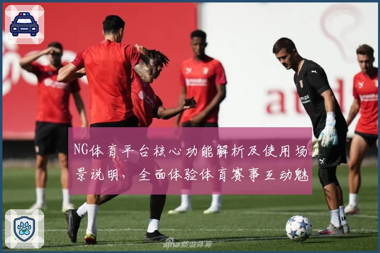 NG体育平台核心功能解析及使用场景说明，全面体验体育赛事互动魅力
