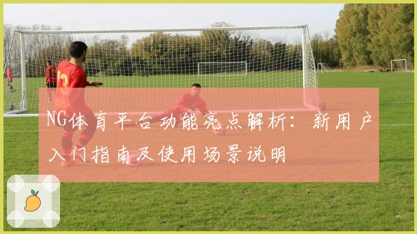 NG体育平台功能亮点解析：新用户入门指南及使用场景说明